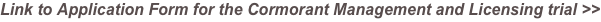 shapeimage_4_link_0