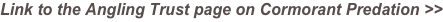 shapeimage_5_link_0